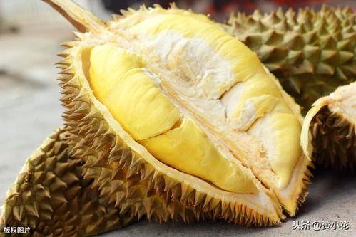 吃瓜娱乐间榴莲,热带果王背后的传奇与争议