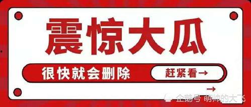 娱乐八卦爆料吃瓜文档,吃瓜群众必备的八卦秘籍