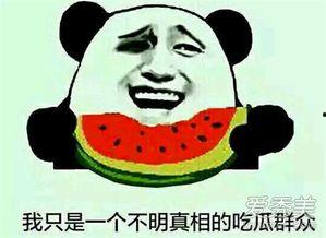 吃瓜群众啥意思,网络时代的围观者心态解析
