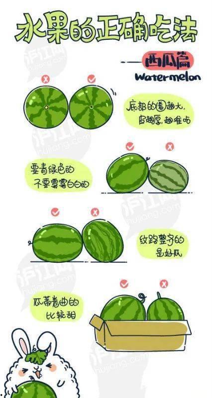 娱乐大号倡导吃瓜理性,理性围观，揭秘娱乐圈真相